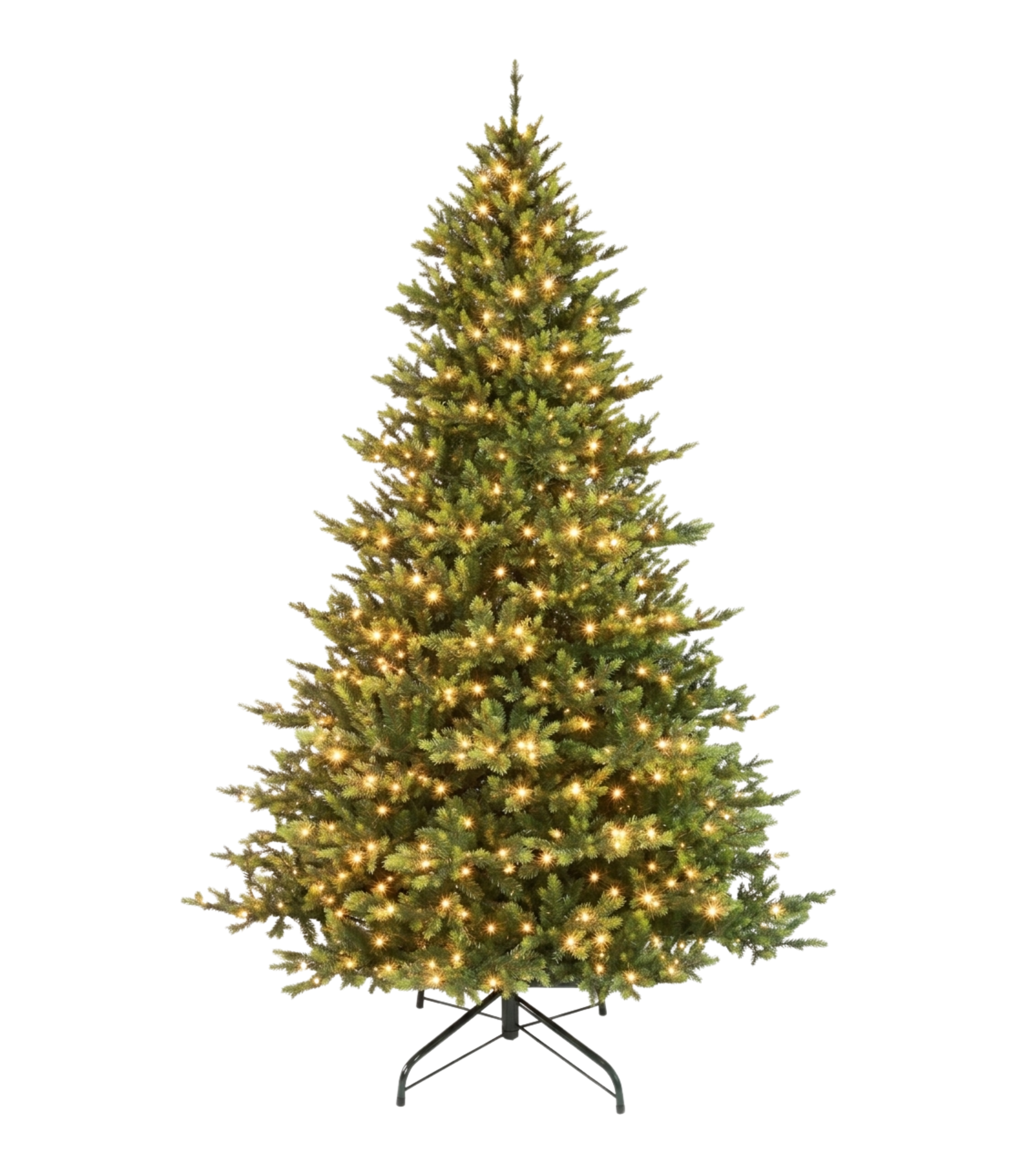 Grand Spruce
