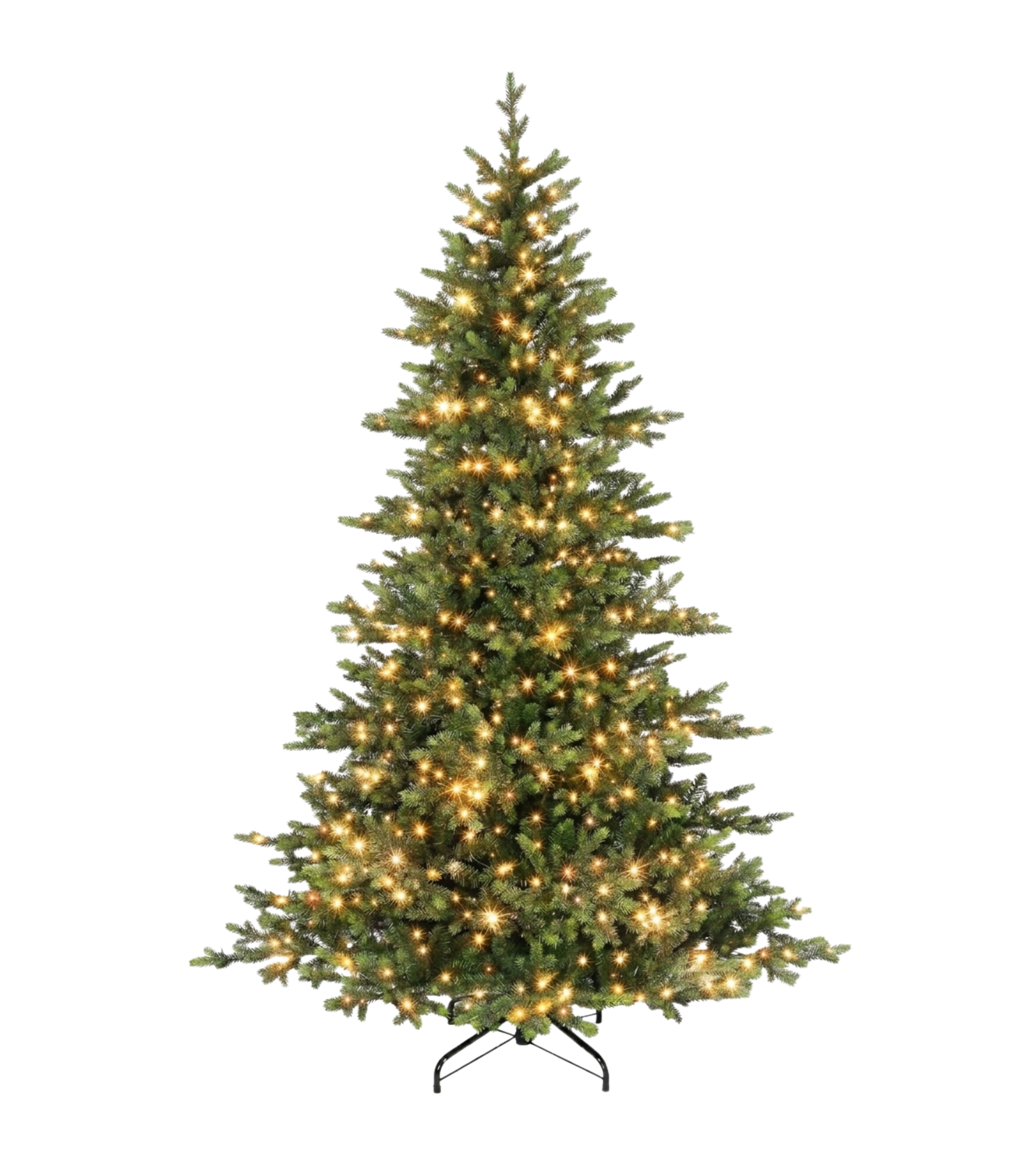 Grand Spruce