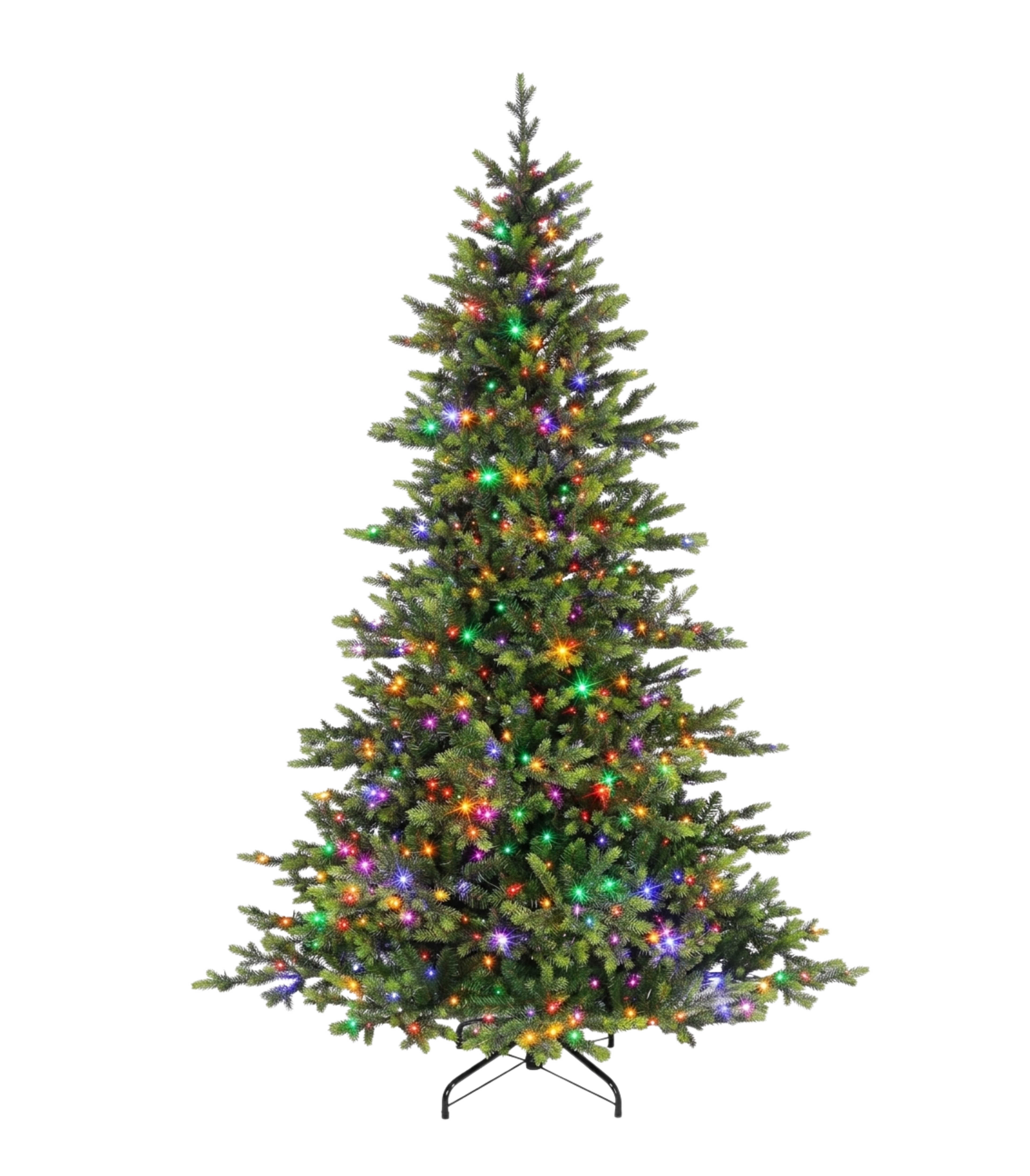 Grand Spruce