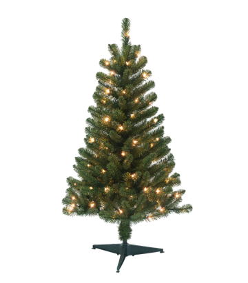 Montana Pine