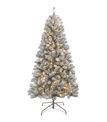 Snowfall Pine