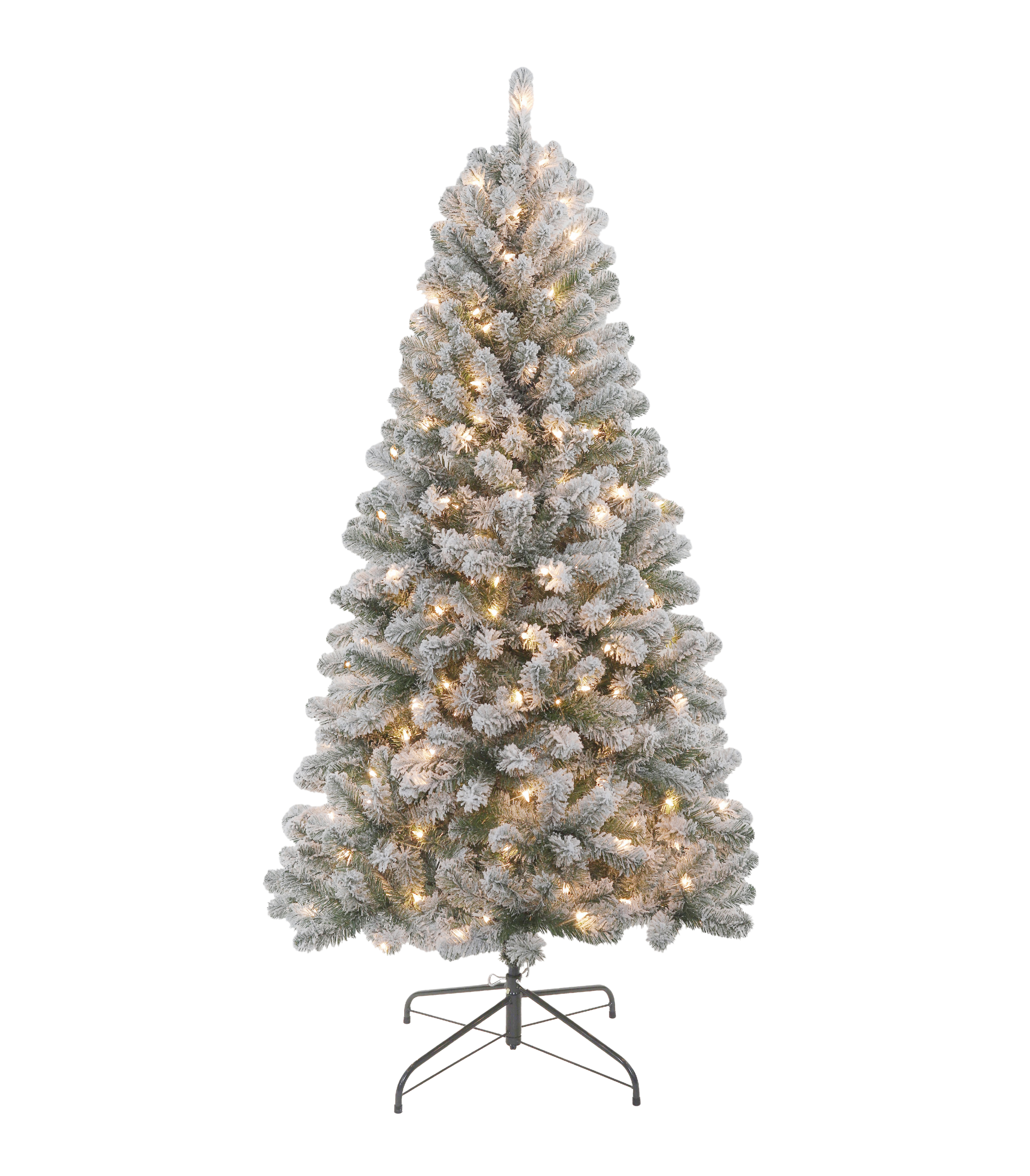 Snowfall Pine