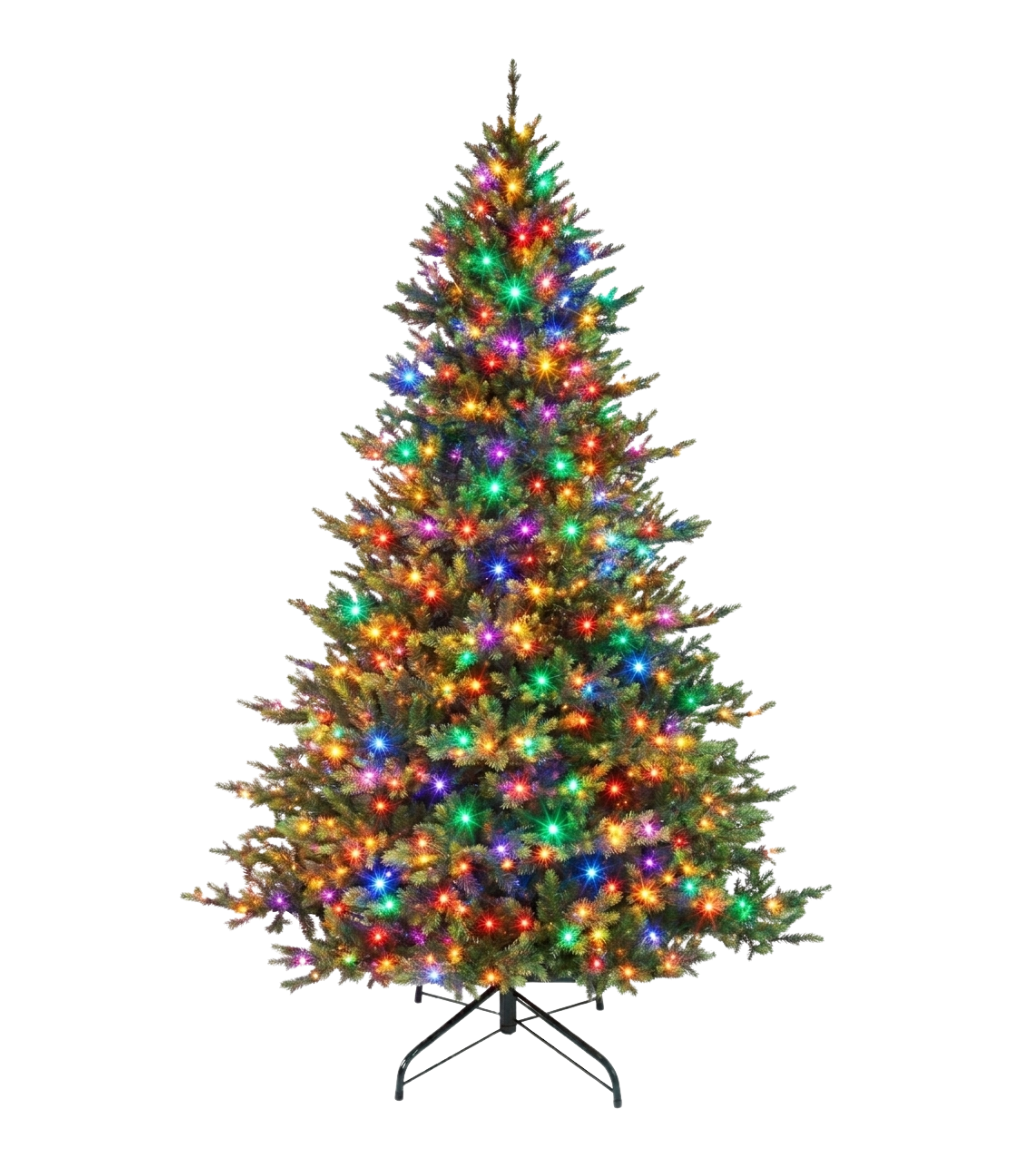 Grand Spruce
