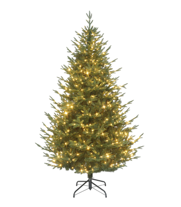 7' Carolina Fraser Fir