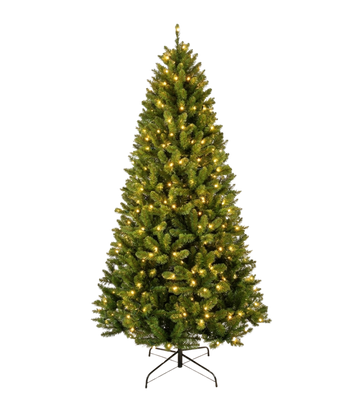 Aspen Spruce
