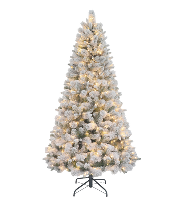 7.5' Blizzard Pine